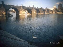 PRAAG1993N122