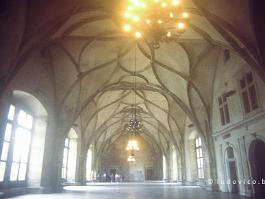 PRAAG1993N154