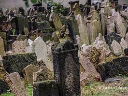 PRAAG2009_DSC4252