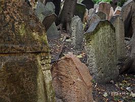 PRAAG2009_DSC4288