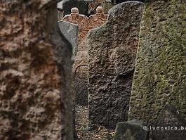 PRAAG2009_DSC4315