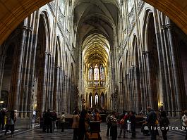 PRAAG2009_DSC3951