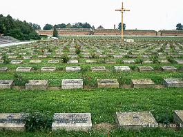 TEREZIN1994N020