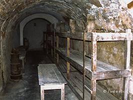 TEREZIN1994N025