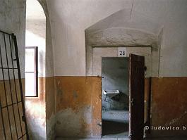 TEREZIN1994N032