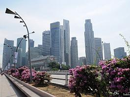 SINGAPORE_DSC0669