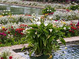 Spanje2022_P1390312 Typisch voor bouwwerken uit de islamitische tijd zijn de weelderige tuinen waarin steeds een waterpartijen, beekjes of fonteinen worden opgenomen