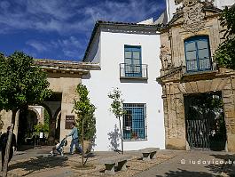 Spanje2022_P1390444 De Palacio de Viana is een bescheiden paleis/herenhuis dat als museum van het dagelijks leven van de adel is ingericht,en gebouwd rond twaalf binnenplaatsen en...