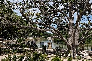 Jardin de la Isla