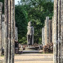 SRILANKA_D7M_3495