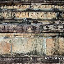 SRILANKA_D7M_3505