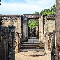 SRILANKA_D7M_3518
