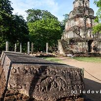SRILANKA_D7M_3488