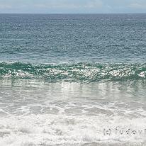 SRILANKA_D7M_4508