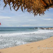 SRILANKA_D7M_4524