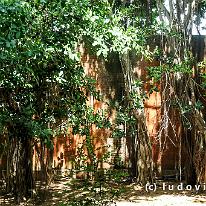 SRILANKA_P1057988