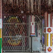 SRILANKA_D7M_4183