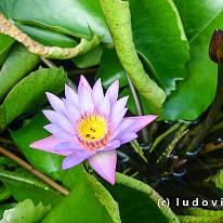 SRILANKA_D7M_3312