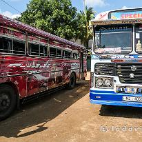 SRILANKA_P1047104