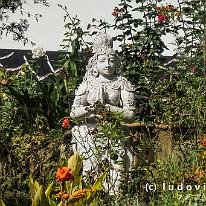 SRILANKA_P1057823 Af en toe duikt er een Boeddha of een Boddhisatva op in het struikgewas.
