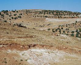 JORDANIE2007_DSC_3360