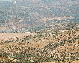 JORDANIE2007_DSC_3363