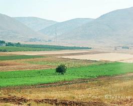 LIBANON2007_DSC_0631