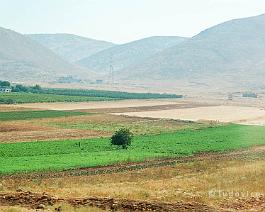 LIBANON2007_DSC_0631