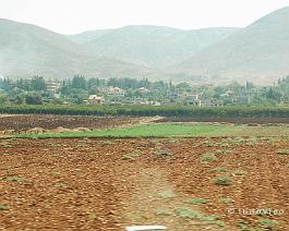 LIBANON2007_DSC_0633