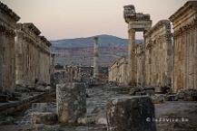 Apamea