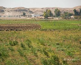 Syrie2007_DSC_2294