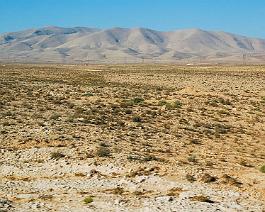 Syrie2007_DSC_3130
