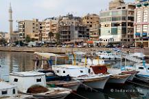 Tartus