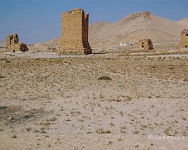 SYRIE2007_DSC_1359