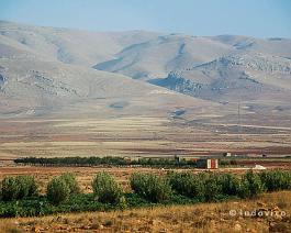 SYRIE2007_DSC_0943