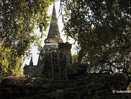 THAILAND_0965