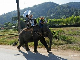 THAILAND_3907