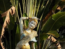 THAILAND_2984