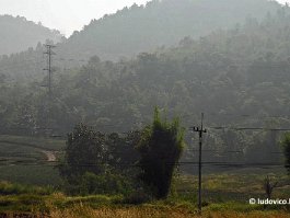 THAILAND_3023