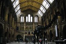 Natural History Museum