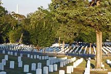 Arlington Cemetery