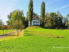 ZW2016_DSC_2573-7873 Luzern