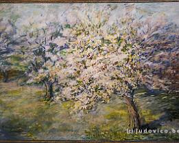 BRATISLAVA2025_P1082238