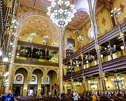 BUDAPEST2025_DSCF4202