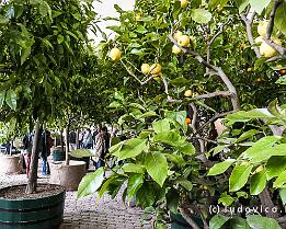 WIEN2025_P1059426