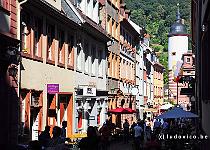 DU2016 DSC 1427-6535