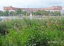 DU2016 P2123-P1160165