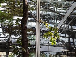 PARIS2012_0758 Fondation Cartier, hedendaagse kunstgalerij (arch. Jean Nouvel)