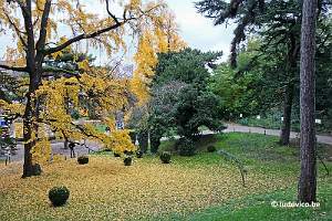 Jardin des plantes