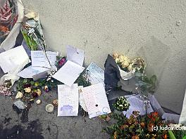 PARIS2015_P8630244 ASCII